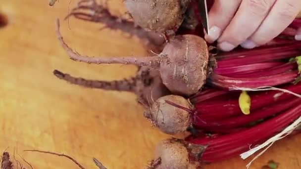 Cut Beets On Wood Board — Stock Video