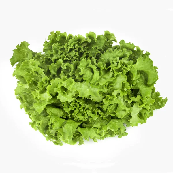 Zielony liść sałaty — Zdjęcie stockowe
