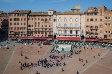 Piazza Del Campo Siena
