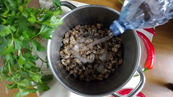 Cuisson des escargots de mer — Video