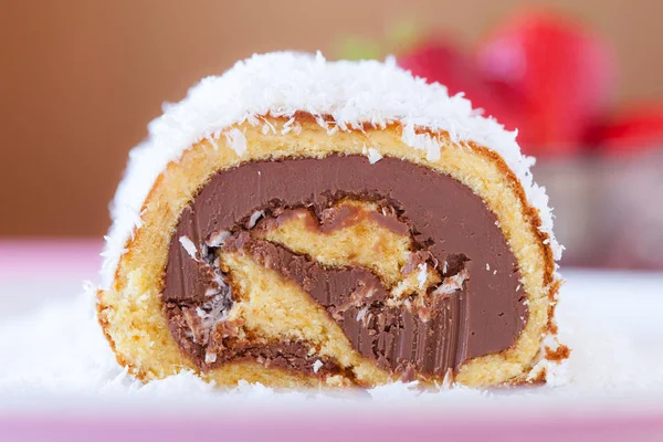 Chocolat noix de coco gâteau rouleau gros plan — Photo