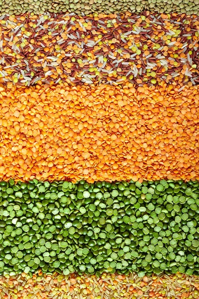 Dried Legumes Layers — Stock Photo, Image