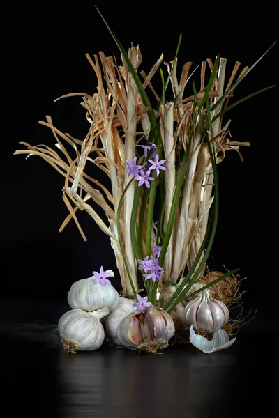 Garlic And Savage Onion Flowers — Stock Photo, Image