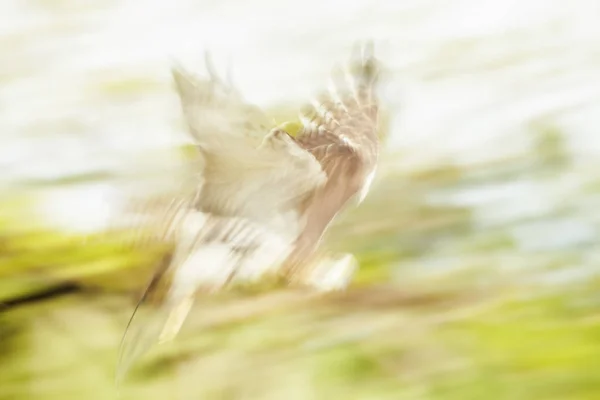 Verschwommene Bewegung abstrakter Hintergrund — Stockfoto