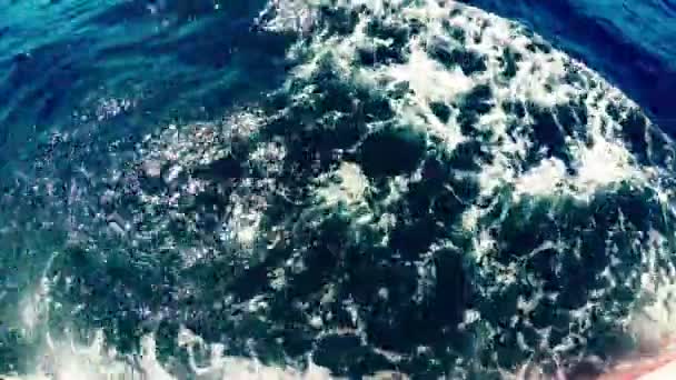 Turbulence d'eau de mer — Video