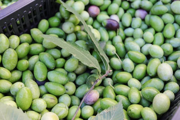 Raw Green Olives — Stock Photo, Image