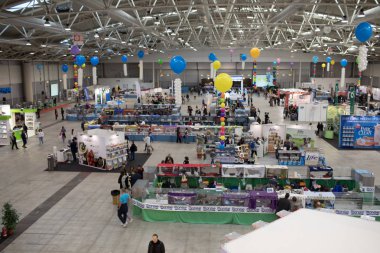 Süper kedi Haritayı Roma 2017