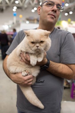 Süper kedi Haritayı Roma 2017