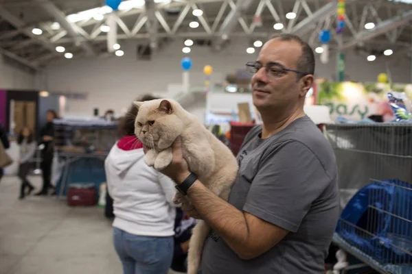 Super Cat Show Roma 2017 — Fotografia de Stock