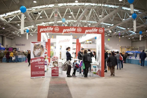 Superkatzenshow 2017 — Stockfoto