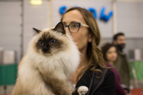 Super Cat Show Рим 2017