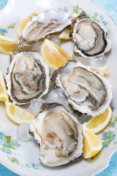 Rauwe oesters — Stockfoto