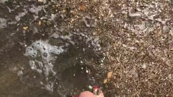 スローモーション 水の中の砂の上 ビーチに沿って歩く女性の足の上を表示します — ストック動画