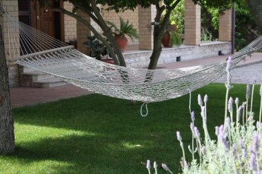 İki ağacın arasına yayılmış boş bir hamak..