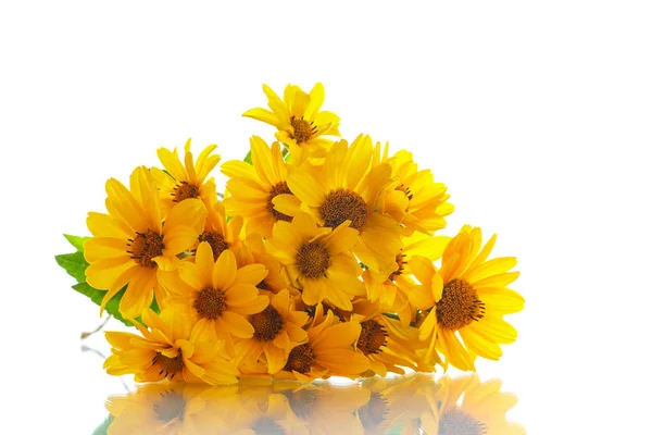 Bouquet of yellow daisies — Stock Photo, Image