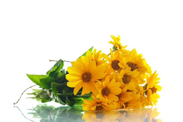 Bouquet of yellow daisies — Stock Photo, Image