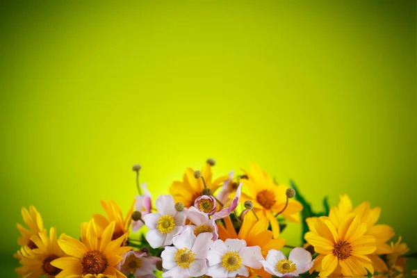 Sommerstrauß aus gelben Gänseblümchen — Stockfoto