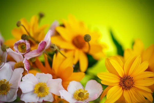 Summer bouquet of yellow daisies — Stock Photo, Image