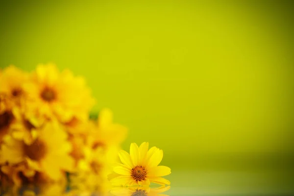 Літній букет жовтих ромашок — стокове фото