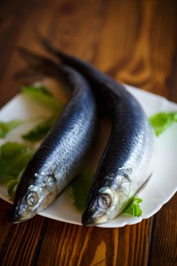 marul ile bütün tuzlanmış ringa balığı