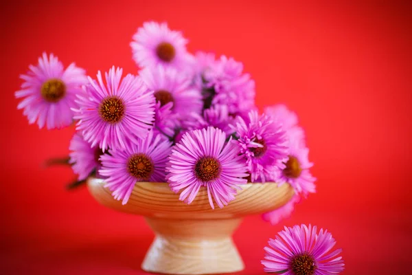 Strauß schöner Chrysanthemen im Herbst — Stockfoto