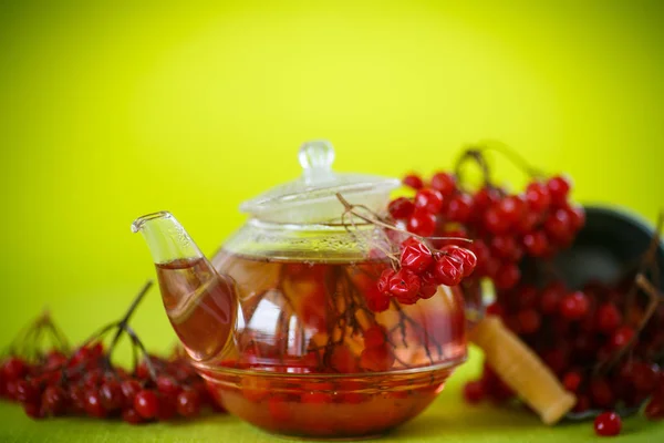 Hot tea viburnum in glass pot — Stock Photo, Image
