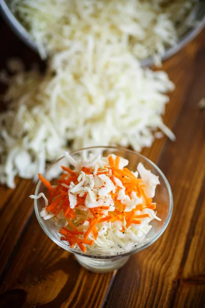 白菜和胡萝卜的素食沙拉 — 图库照片