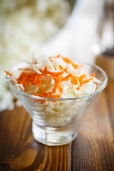 Vegetarian salad with cabbage and carrots — Stock Photo, Image