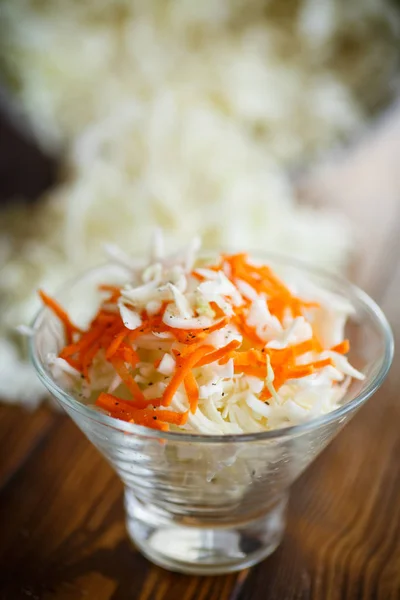 Вегетаріанський салат з капустою і морквою — стокове фото