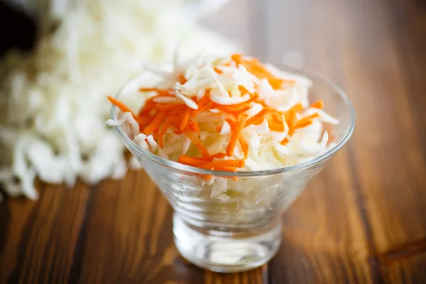 Ensalada vegetariana con col y zanahorias — Foto de Stock