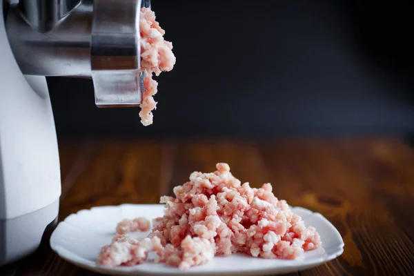 Carne eléctrica molinillo carne — Foto de Stock