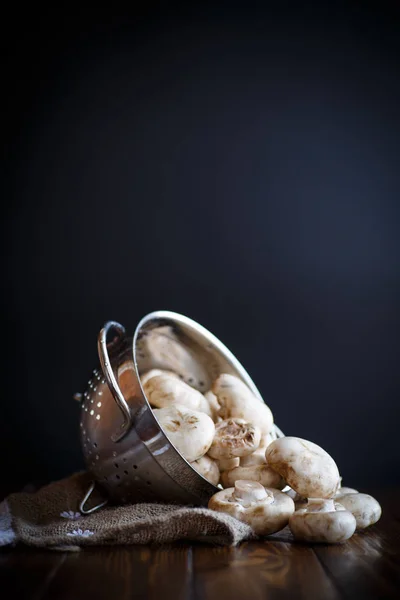 Fresh white champignons in a colander — Stock Photo, Image