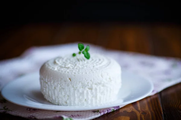 Сир в білій тарілці — стокове фото