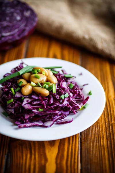 煮豆と赤キャベツのサラダ — ストック写真