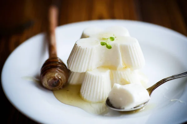 Sweet dessert panna cotta with honey — Stock Photo, Image