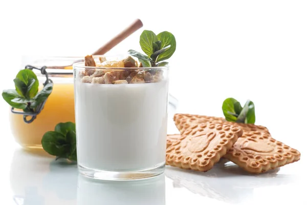 Greek yoghurt with honey and biscuits — Stock Photo, Image