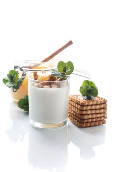 Griekse yoghurt met honing en koekjes — Stockfoto