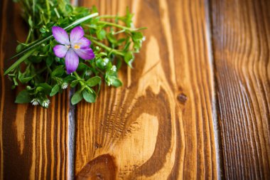 Çiçek çiğdemler ile demet