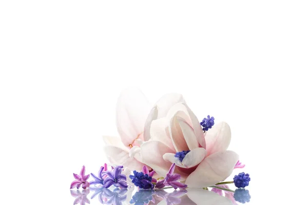 Set of spring flowers with magnolia — Stock Photo, Image