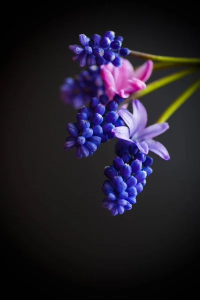 Schöner Strauß Frühlingsblumen — Stockfoto