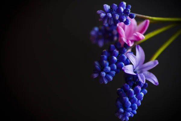 Vacker bukett av vårblommor — Stockfoto