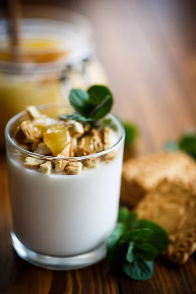 Greek yoghurt with honey and biscuits — Stock Photo, Image