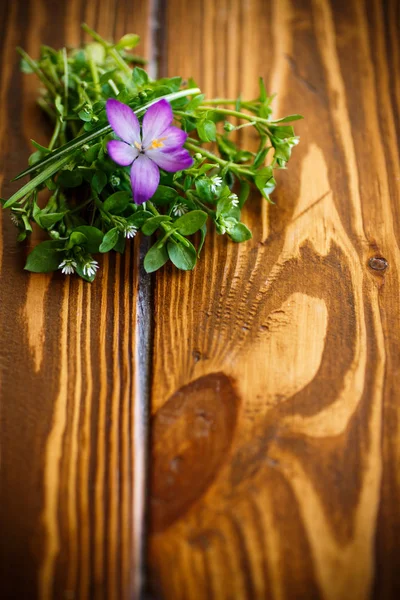 Blumenstrauß mit Krokussen — Stockfoto