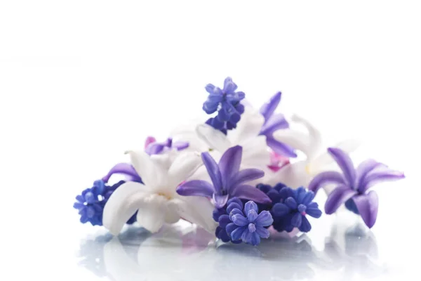Belo buquê de flores da primavera — Fotografia de Stock