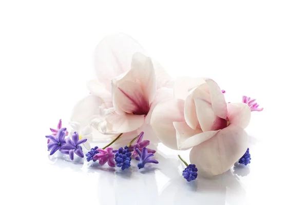 Conjunto de flores de primavera com magnólia — Fotografia de Stock