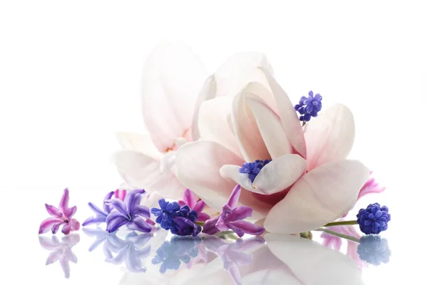 Uppsättning av vårblommor med magnolia — Stockfoto
