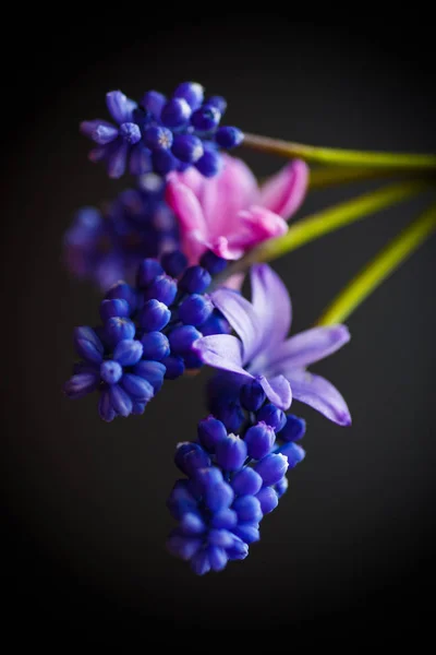 Hermoso ramo de flores de primavera — Foto de Stock