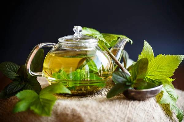 Chá com folhas de passa de Corinto — Fotografia de Stock
