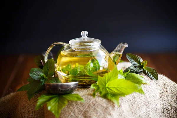 Чай з листям смородини — стокове фото