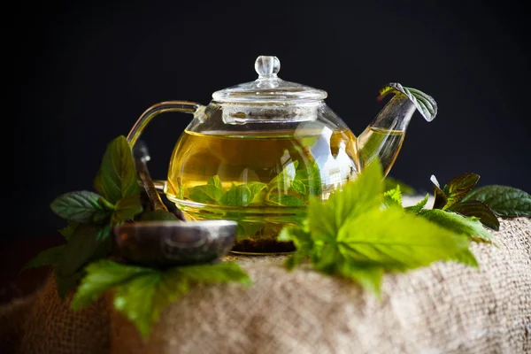 Tea with currant leaves — Stock Photo, Image